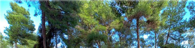 Kαφέ στους μυστικούς κήπους της Αθήνας