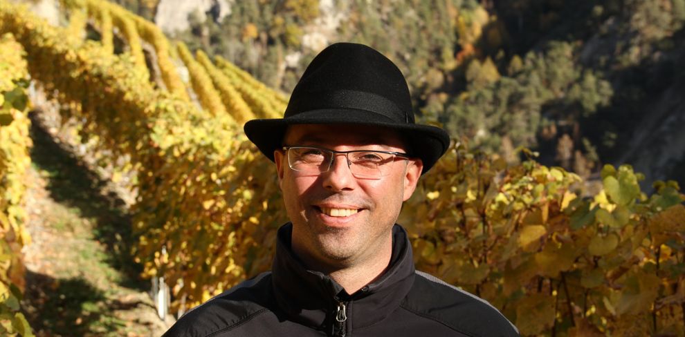 Tα διεθνή ελληνικά κρασιά