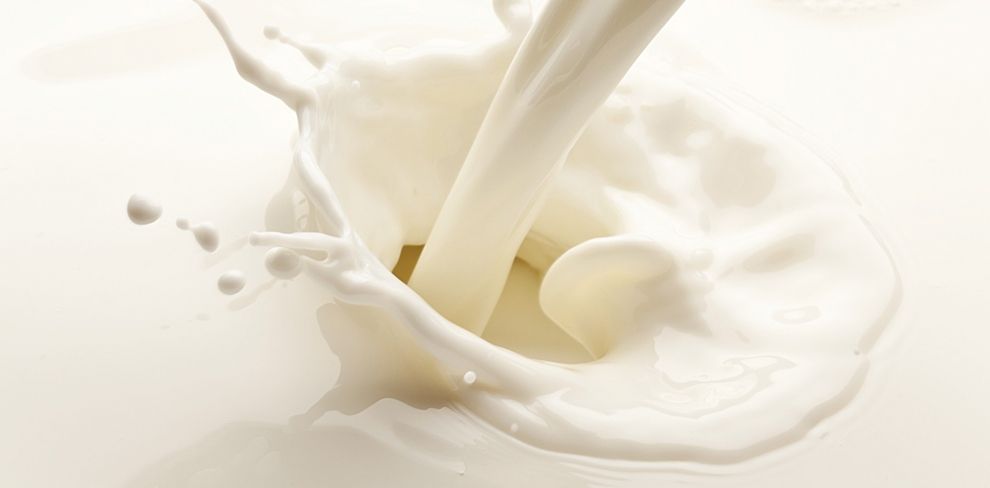 Παγκόσμια Ημέρα Γάλακτος - Αγάπη για το Γάλα!