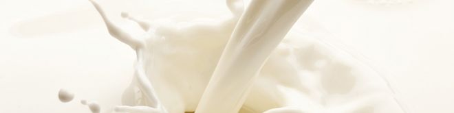 Παγκόσμια Ημέρα Γάλακτος - Αγάπη για το Γάλα!