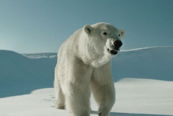 Εβδομάδα Καναδικού Κινηματογράφου 