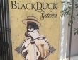 Βlack Duck Garden-Αthens City Museum Bistro